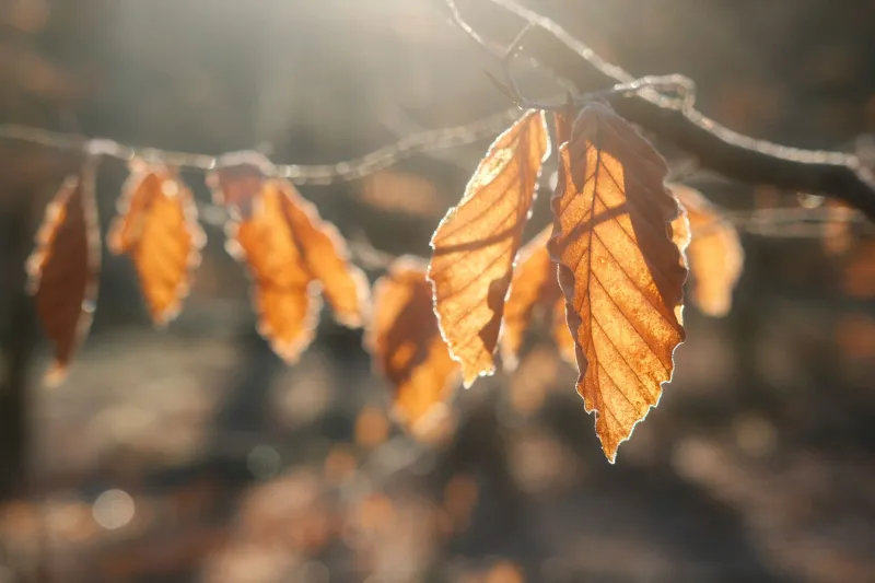 Why Your Creative Output Shouldn't Look the Same in January as It Does in August